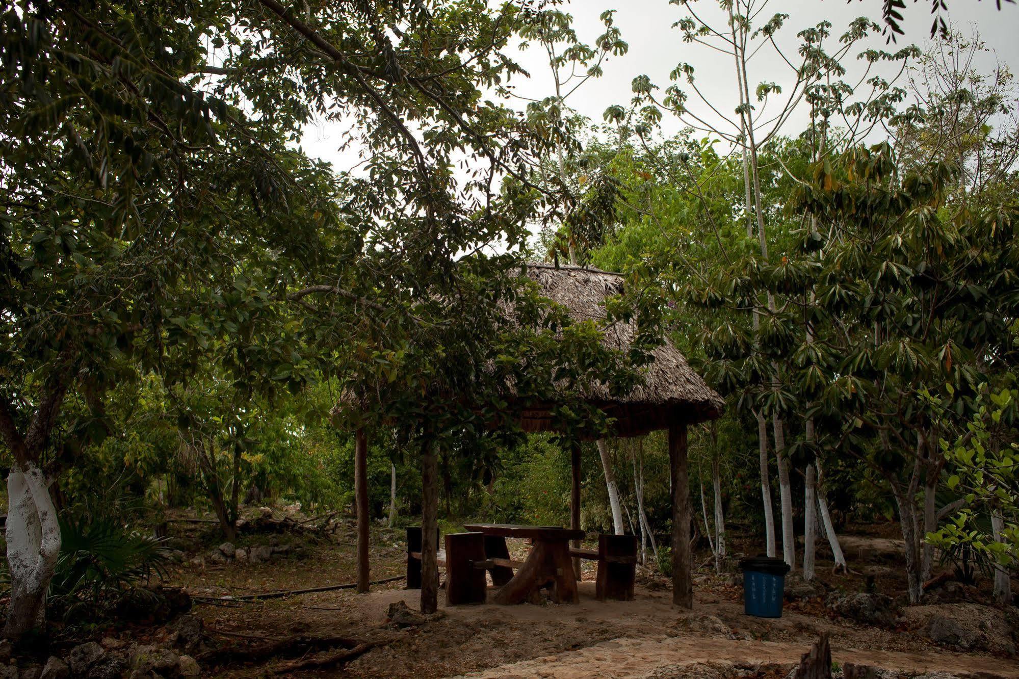 Leona Vicario Casa Cenote Popol Vuhヴィラ エクステリア 写真
